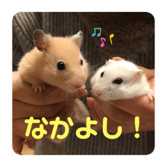 [LINEスタンプ] 愛くるしい動物達のスタンプ