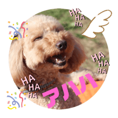 [LINEスタンプ] Happy dogs and Ryo