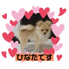 [LINEスタンプ] ひなたくんとれんちゃん