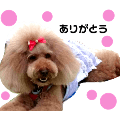 [LINEスタンプ] デカプー・イヴくん