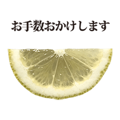 [LINEスタンプ] レモン カット 敬語