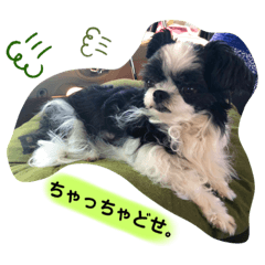 [LINEスタンプ] 庄内弁まめ