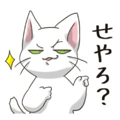 [LINEスタンプ] こさばの猫スタンプ