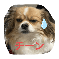 [LINEスタンプ] シェリちゃんファミリー2
