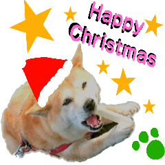 [LINEスタンプ] 豆柴犬のクリスマス