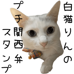 [LINEスタンプ] 白猫りんのプチ関西弁スタンプの画像（メイン）