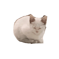 [LINEスタンプ] 猫のゴルゴのスタンプの画像（メイン）