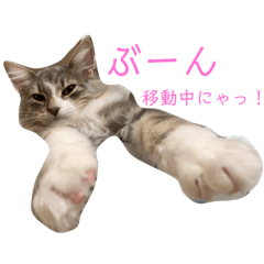 [LINEスタンプ] weegie-house1