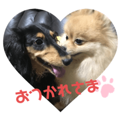 [LINEスタンプ] コロンとモカの写真すたんぷ