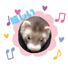 [LINEスタンプ] ふぇれはむず5