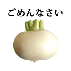 [LINEスタンプ] 野菜 かぶ と 文字