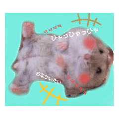 [LINEスタンプ] 愛しのマカロン