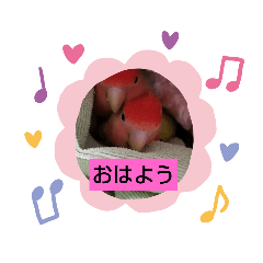 [LINEスタンプ] Kawafamily6
