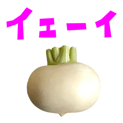 [LINEスタンプ] 野菜 かぶ と 手書き風文字