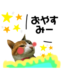 [LINEスタンプ] 呆れるMOKAちゃんのスタンプ