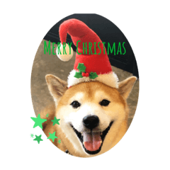 [LINEスタンプ] 大吉と福のメリークリスマス
