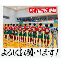 [LINEスタンプ] サッカークラブ！！F.C.TWINS.愛知！！