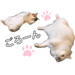 [LINEスタンプ] めかぶとたらこ