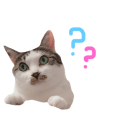 [LINEスタンプ] ディオたん