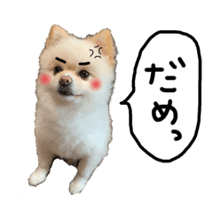 [LINEスタンプ] まめまり