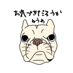 [LINEスタンプ] フレンチブルドッグうめリアル手書き②