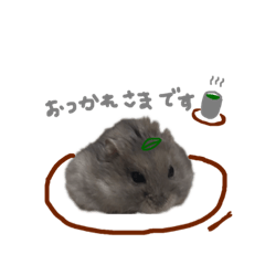 [LINEスタンプ] ハムスターこうしくんの季節のスタンプ