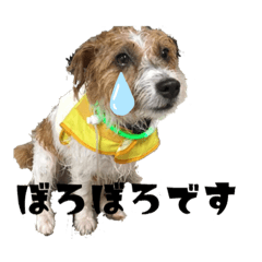 [LINEスタンプ] アーサー君の可笑しな毎日