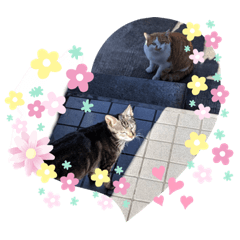 [LINEスタンプ] 微笑ましいファミリー