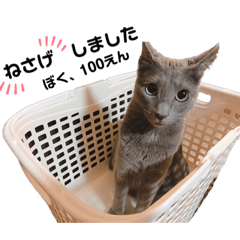 [LINEスタンプ] だいごろうの日常2