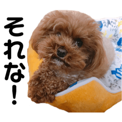 [LINEスタンプ] なかよしワンコM＆S②