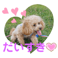 [LINEスタンプ] ピッコロトイプー日常