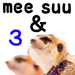 [LINEスタンプ] mee ＆ suu 03の画像（メイン）