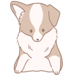 [LINEスタンプ] ボーダーコリーのレディちゃん