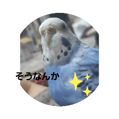 [LINEスタンプ] piiさん