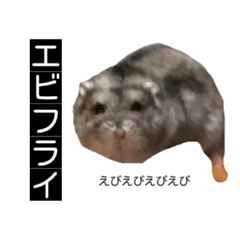 [LINEスタンプ] ハムのみつはしwithはなちゃん