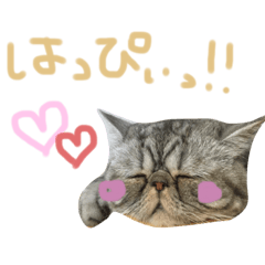 [LINEスタンプ] ふったとゆった