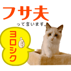 [LINEスタンプ] ラグドール フサ夫 ver.2