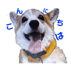[LINEスタンプ] ムック一家