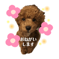 [LINEスタンプ] もももももなか