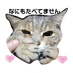 [LINEスタンプ] じげんかわいいしりーず