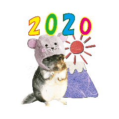 [LINEスタンプ] チンチラのぽぽちゃん2020季節