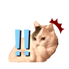 [LINEスタンプ] 海ちゃんたち