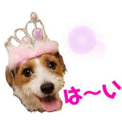 [LINEスタンプ] エブリデイ琳ちゃん