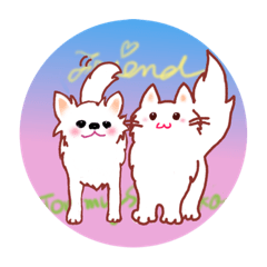 [LINEスタンプ] チワワのTommyと白ネコ