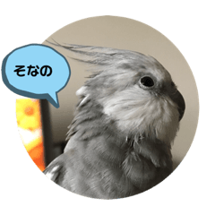 [LINEスタンプ] ダックスとオカメインコ
