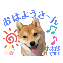 [LINEスタンプ] ボストンケンネル  OB会①
