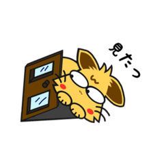 [LINEスタンプ] 元気ねこ