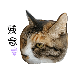 [LINEスタンプ] かわいいなんでもしりーず
