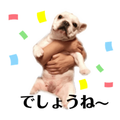 [LINEスタンプ] ガウディ＆ボンゾ 2