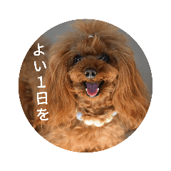[LINEスタンプ] こはるの家族会話